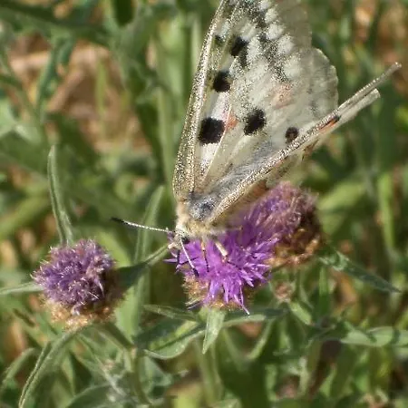 Guest house Gaestehaus Weberskirch 3*