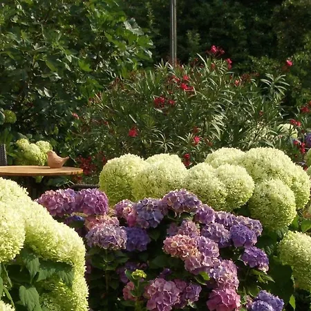 Gaestehaus Weberskirch Guest house 3*