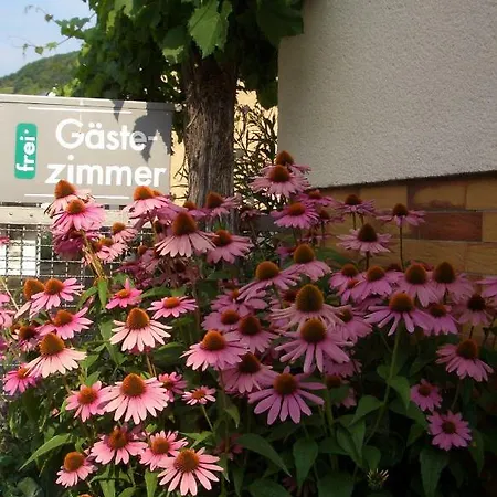 Pensionat Gaestehaus Weberskirch 3*