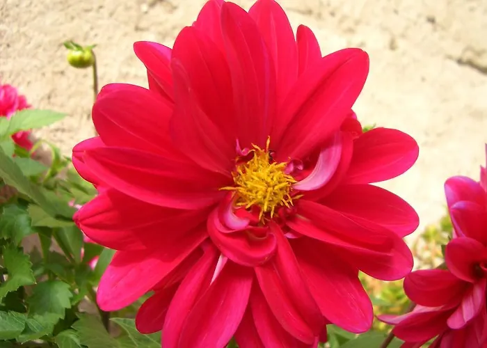 Gaestehaus Weberskirch Vendégház 3*