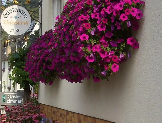 Gaestehaus Weberskirch Vendégház